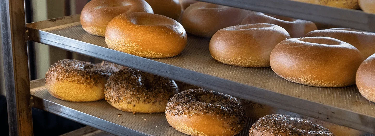 2506 6013 EBB PNW Bagel Landing Page Header 1440x523
