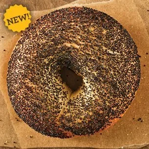 Poppy Seed Bagel